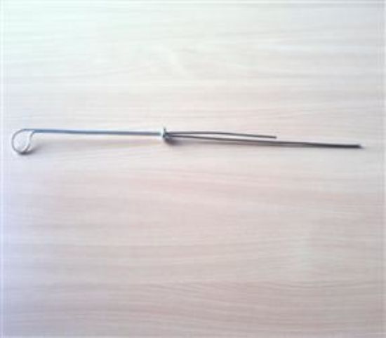 Picture of DIPSTICK STAG/TR6(147712)