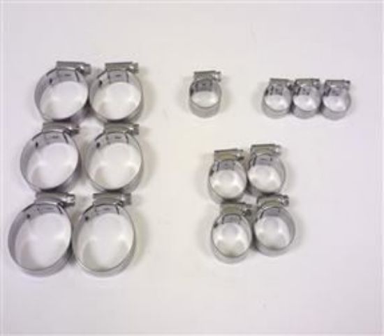 Picture of COOLING HOSE  CLIP SET(JPS546)