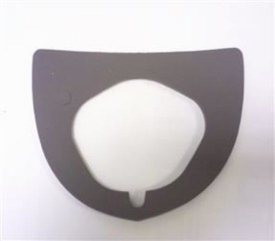 Picture of SIDE AND FLASHER LAMP GASKET(150627)