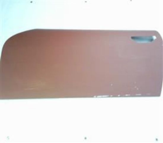 Picture of DOORSKIN L/H(923360)