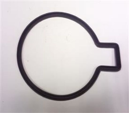 Picture of PETROL CAP SEAL STAG / 2000 ESTATE (AS OE WITH RECESS)(619122)