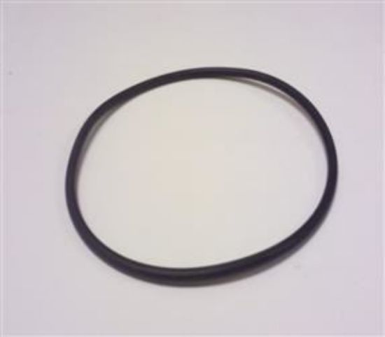 Picture of OIL TRANSFER HOUSING O RING LARGE(144958)