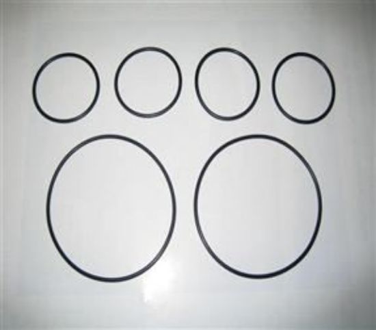 Picture of INSTRUMENT SEALING RING SET TO SUIT MOST MODELS(ISP-01)