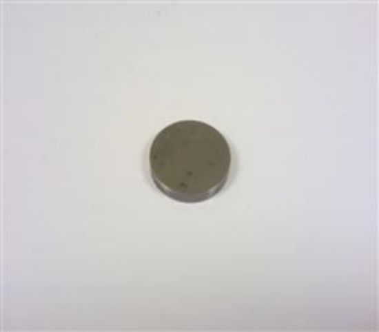 Picture of TAPPET SHIM 091 THOU(148196A)