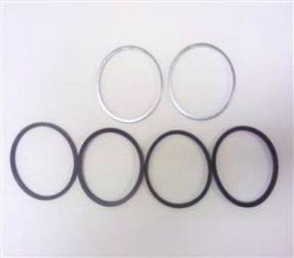 Picture of CALIPER SEALS SET INCLUDING BRIDGE SEAL(AAU2067)