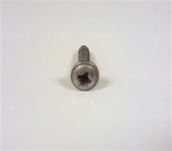 Picture of DOOR TREADPLATE SCREW(575937)