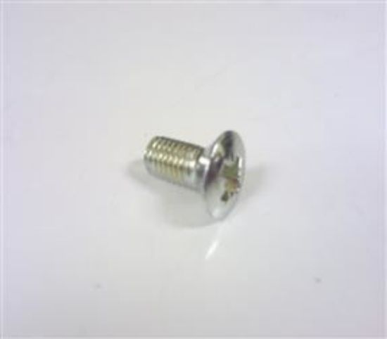 Picture of DOOR MIRROR HEAD CHROME FIXING SCREW(509278)