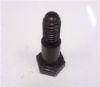 Picture of SOFT TOP FRAME BOLT 5/16" UNF(627107)