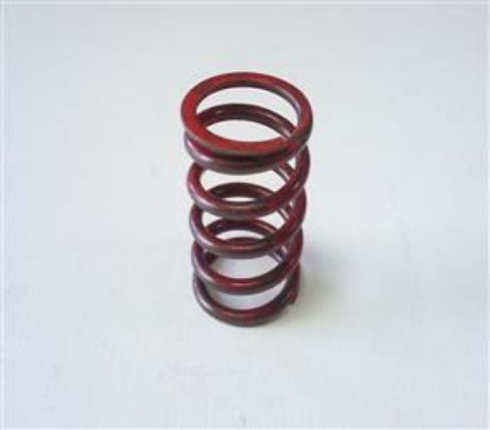 Picture of VALVE SPRING INNER 1500(157476)