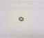 Picture of NUMBER PLATE LAMP BADGE RETAINING CLIP(FR1202/4)