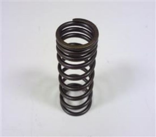 Picture of VALVE SPRING INNER   *(102564)