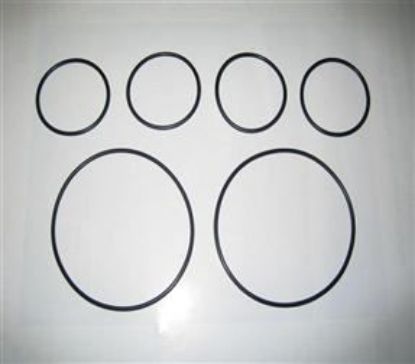 Picture of INSTRUMENT SEALING RINGS SET(ISP-01)