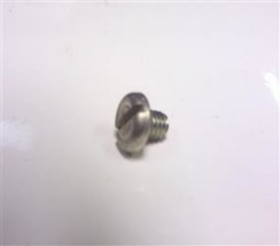 Picture of POINTS DELCO SECURING SCREW(511842)