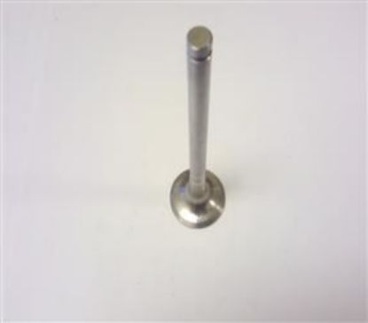 Picture of EXHAUST VALVE UNLEADED  CR ENGINES(159873)