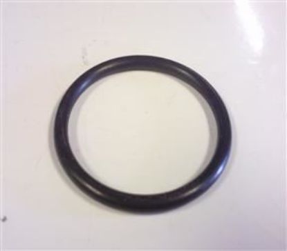 Picture of SERVO NON RETURN VALVE O RING(516906)