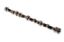 Picture of CAMSHAFT NEW(311399)