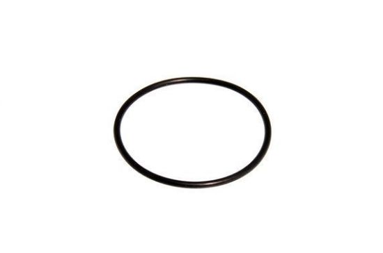 Picture of WATER PUMP HOUSING O RING LOWER (148169)