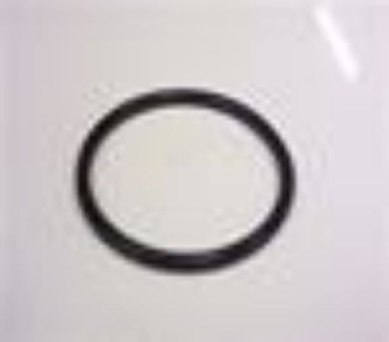 Picture of CARBURETTOR DAMPER SEALING RING(516988)