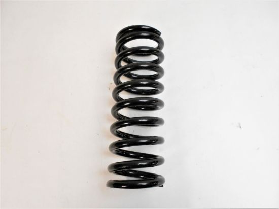 Picture of REAR SPRING(216275)