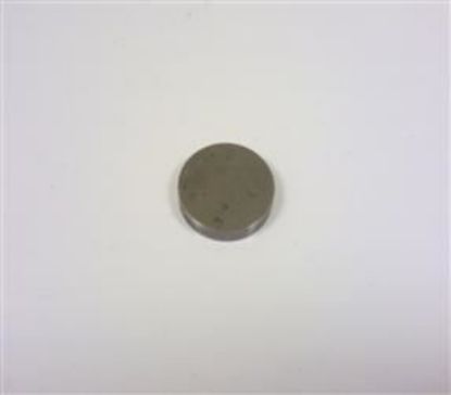 Picture of TAPPET SHIM 093 THOU(148198A)