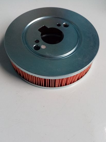 Picture of AIR FILTER ELEMENT  STROMBERG CD150 GT6/DOL/2000(GFE1051)