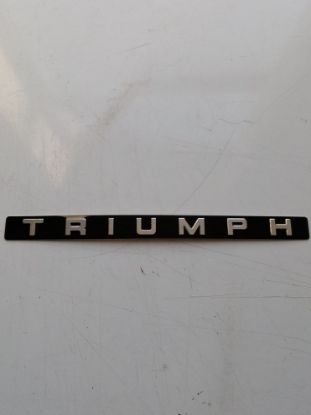 Picture of TRIUMPH BADGE INSERT FRONT NUMBER PLATE PLINTH(626859I)