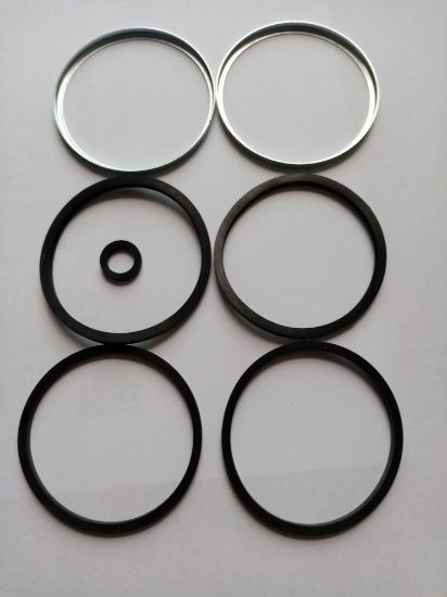 Picture of CALIPER SEALS SET INCLUDING BRIDGE SEAL(AAU2067)